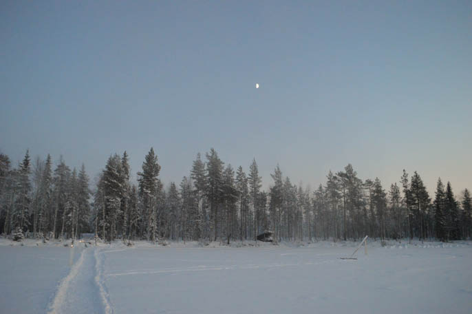 laponia-rovaniemi-finlandia-104