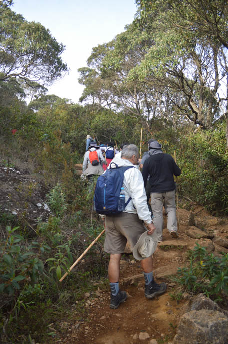 caminho-da-luz-mg-164