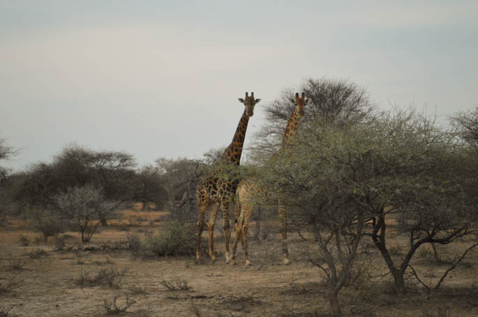 overland-tour-africa-4