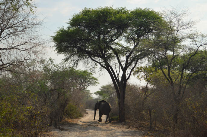 overland-tour-africa-97