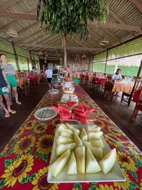 hotel de selva na Amazônia