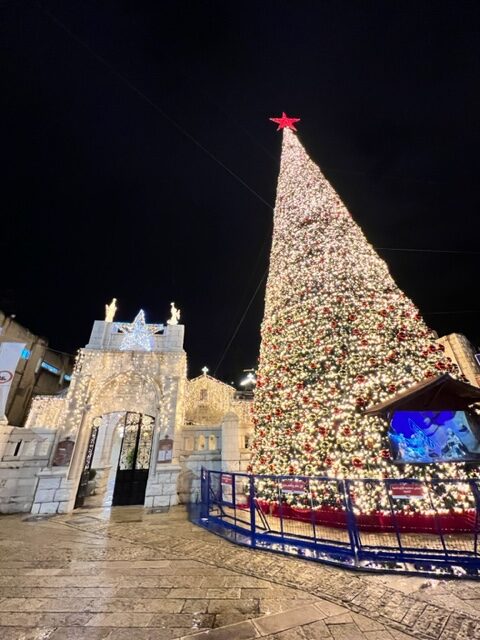 Árvore natalina na cidade de Nazaré