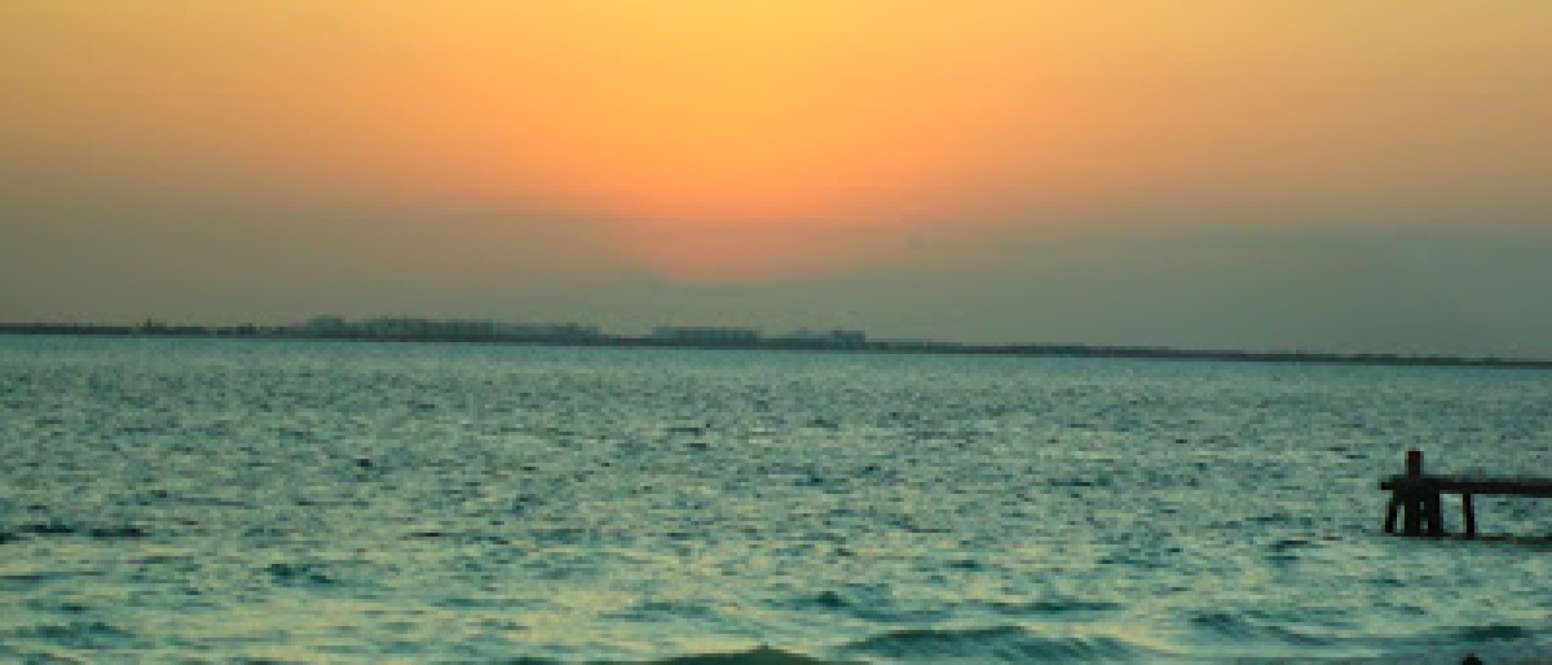 DSC02484