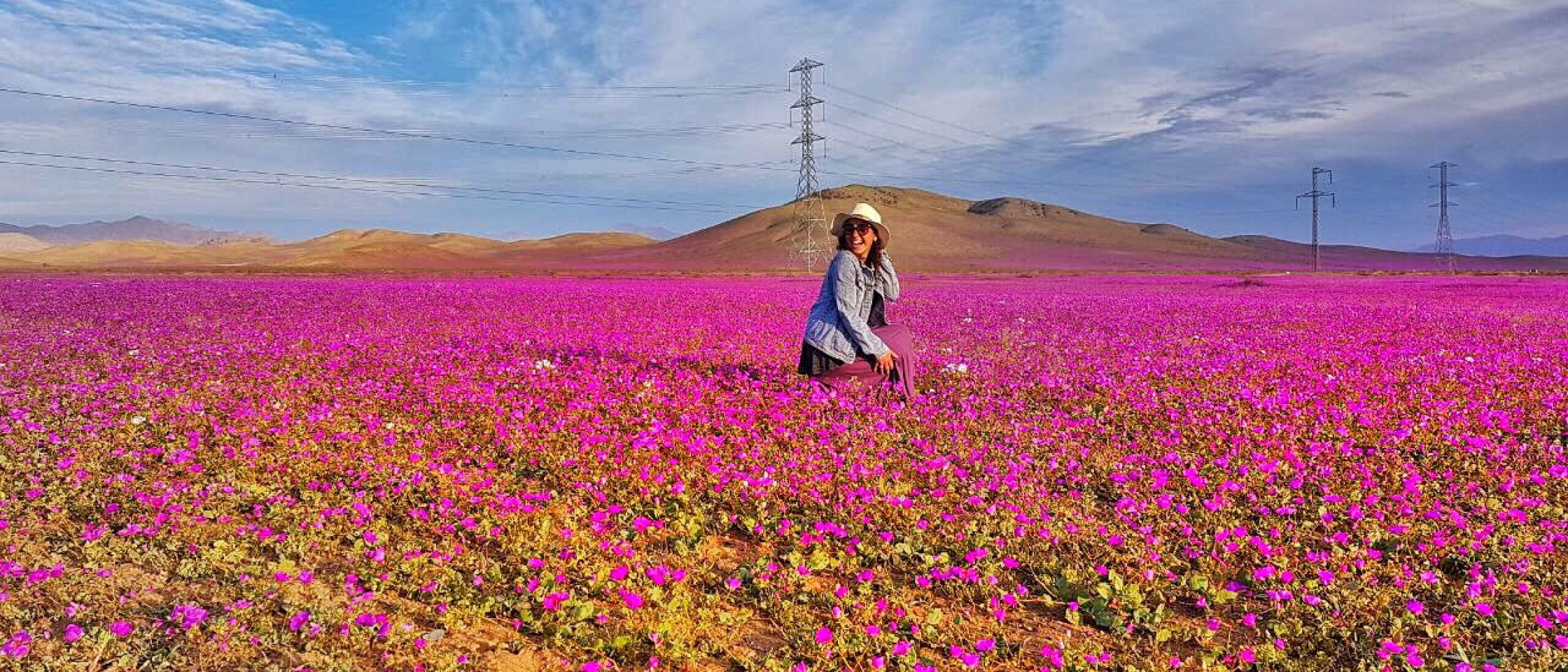 Deserto Florido