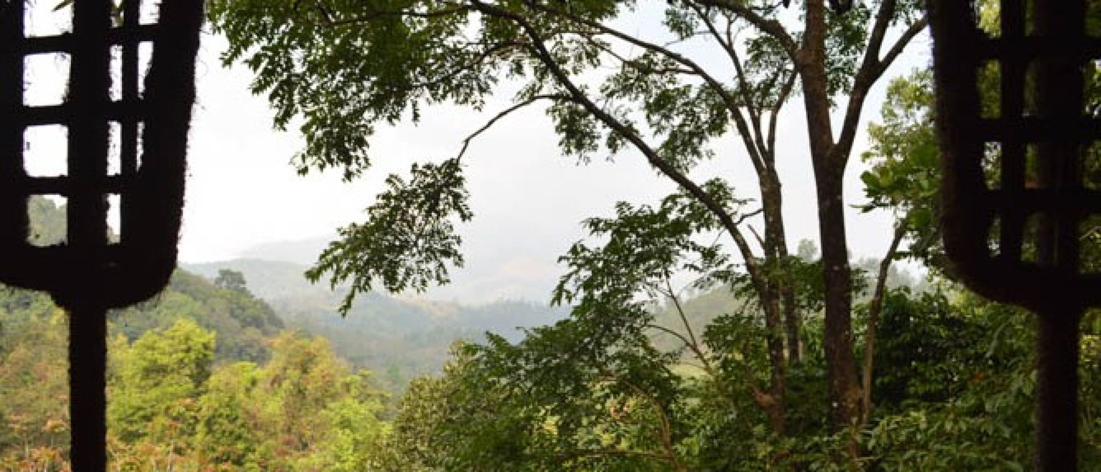 kerala-india-203