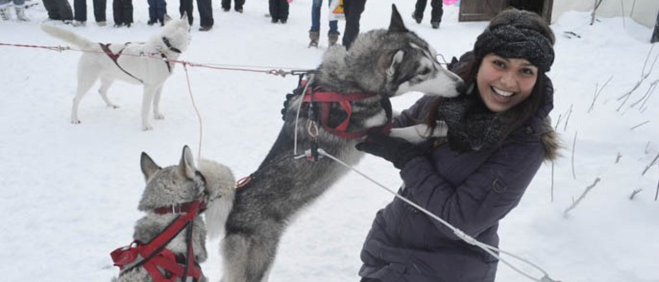 laponia-rovaniemi-finlandia-43