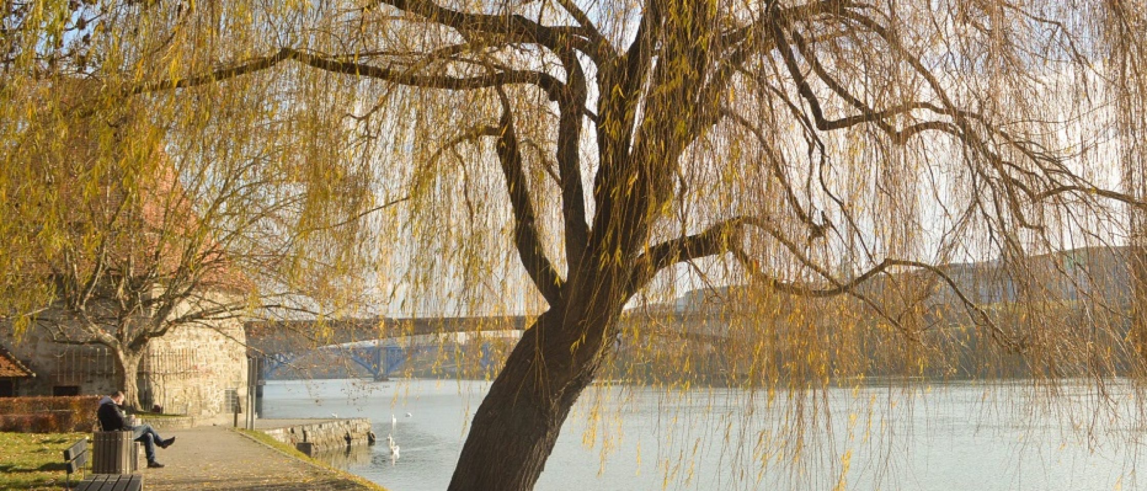 maribor eslovenia-41