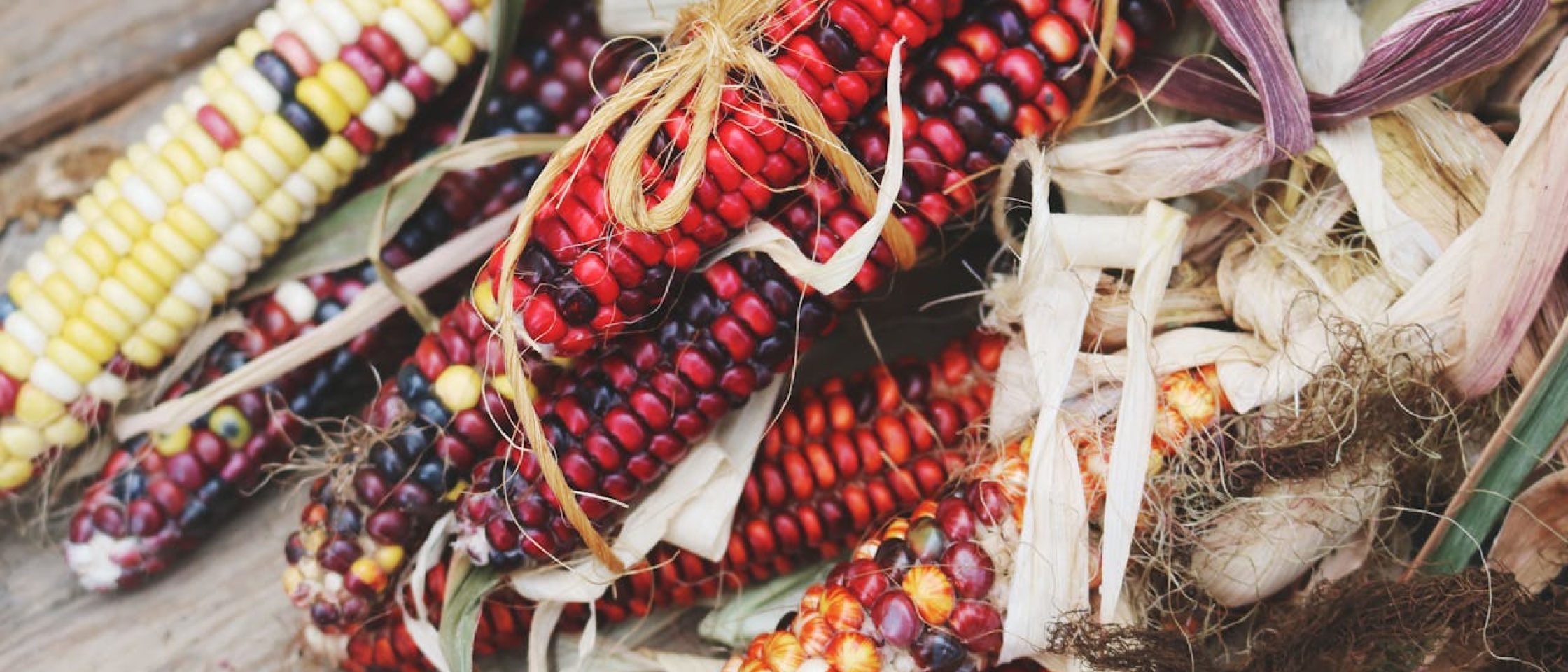 maíz da gastronomia peruana